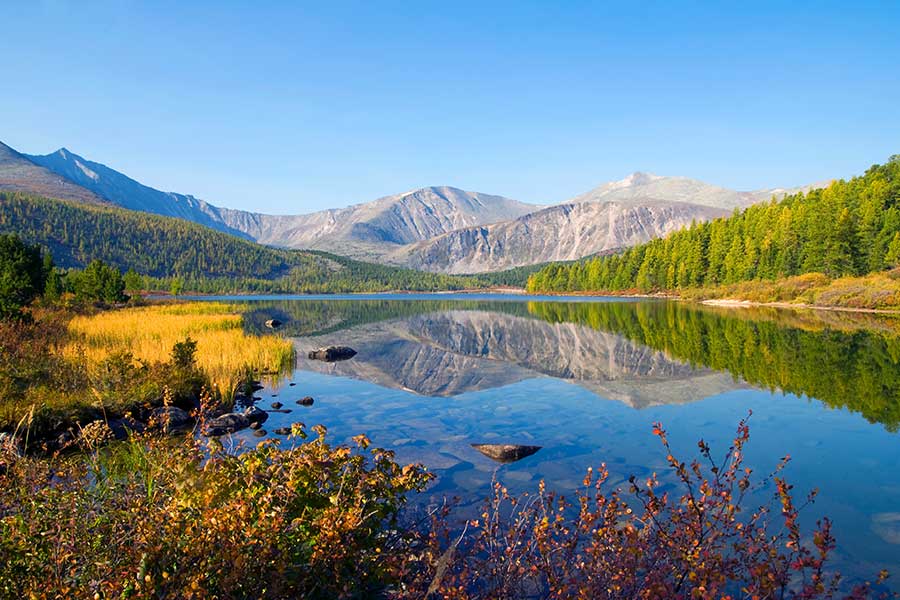 วิธีดันหมุดขึ้นอันดับ 1 ง่ายๆ ทำตามได้ทันที